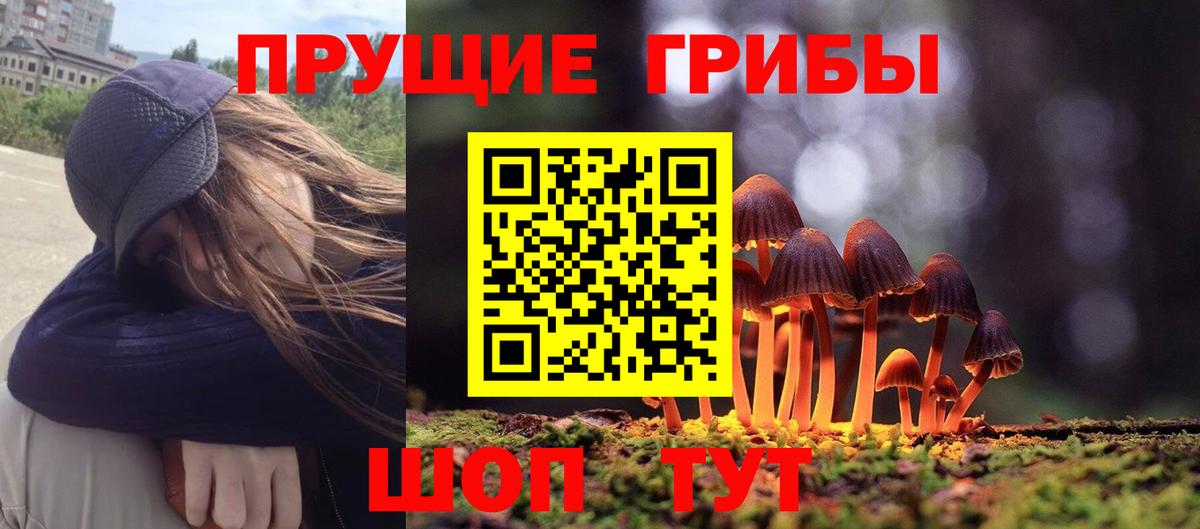 Псилоцибиновые грибы Magic Shrooms Касимов